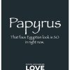 Papyrus